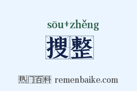 搜整是什么意思的图片